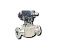 Nuclear grade valves